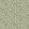 Frond Ogee Wallpaper by Josephine Munsey Brookes Green and Edge Sand