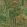 Front Row Wallpaper by GP & J Baker Jewel Green