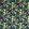 Fruta Velvet Fabric by Studio G Midnight
