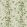 Fuchsia Wallpaper by Cole & Son Powder Pink & Olive on Soft Spring Green