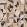 Galaxy Mural by Thibaut Graphite and Champagne