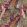 Game Birds Wallpaper by Mulberry Home Red / Plum