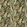 Game Birds Velvet Fabric by Mulberry Home Forest