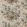 Garden Club Fabric by Anna French Apricot and Slate