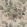 Garden Club Wallpaper by Anna French Apricot and Slate