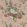 Garden Club Wallpaper by Anna French Blush