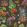 Gertrude Wallpaper by GP & J Baker Charcoal/Jewel