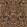 Gibbons Carving Wallpaper by Cole & Son Bronze