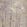 Glade Wallpaper by 1838 Wallcoverings Beach
