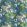 Gladys Blossom Fabric by Designers Guild Cobalt