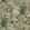 Glyndebourne Fabric by Warwick Forest