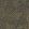 Golden Jungle Wallpaper by Caselio Noir or