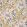 Golden Lily Wallpaper by Morris & Co Espresso