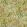 Golden Lily Wallpaper by Morris & Co Pale Biscuit