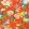 Golden Parrot Wallpaper by Clarke & Clarke Coral