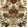 Goldene Henne Wallpaper by MINDTHEGAP Taupe/Ochre/Red/Green