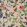 Goldfinch Song Wallpaper by Coordonne Blush