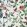 Goldfinch Song Wallpaper by Coordonne Cotton