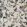 Goldfinch Song Wallpaper by Coordonne Pear