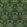 Lapura Velvet Fabric by GP & J Baker Emerald