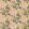 Bird And Iris Fabric by GP & J Baker Blush
