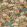 Rockbird Signature Fabric by GP & J Baker Multi