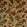 California Velvet Fabric by GP & J Baker Red/Cream