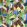 Grafton Fabric by Designers Guild Forest