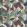 Grafton Fabric by Designers Guild Oak
