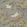 Grand Flying Duck Wallpaper by Mulberry Home Grey / Blue