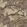 Grand Flying Duck Wallpaper by Mulberry Home Plum