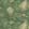Grand Mulberry Woodland Wallpaper by Mulberry Home Summer