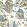 Grand Palace Wallpaper by Thibaut Blue and Green