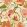 Grande Amelia Fabric by Arley House Peachy