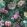 Grande Botanic Fabric by Arley House Twilight
