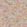 Grande Fleur Linen Union Fabric by Cole & Son Peach & Blush