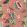 Grande Guava Fabric by Arley House Sorbet