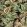 Grande Highgrove Fabric by Arley House Jade