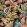 Grande Highgrove Fabric by Arley House Pink Diamond