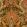 Grande Kashmir Fabric by Arley House Saffron