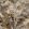 Grande Rutland Fabric by Arley House Stone