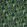 Green Wall Velvet Fabric by Osborne & Little Green