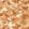 Grounded Wallpaper by Harlequin Baked Terracotta / Parchment