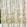 Grounded Sheer Fabric by Harlequin Parchment