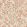 Halcyon Days Wallpaper by Langelid Von Bromssen Coral