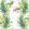 Halcyon Fabric by Osborne & Little Spring Green