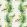 Halcyon Wallpaper by Osborne & Little Spring Green