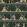 Happy Hour Wallpaper by Brand McKenzie Club Green
