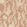 Hares In Hiding Wallpaper by Langelid Von Bromssen Dusty Pink