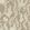 Hares In Hiding Wallpaper by Langelid Von Bromssen Taupe
